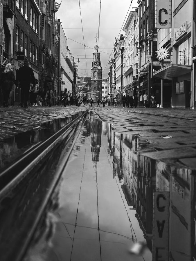 Monochrome — 21