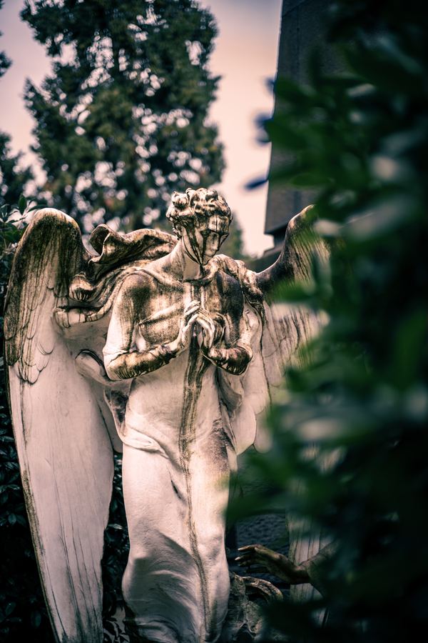 Wanderings — 23