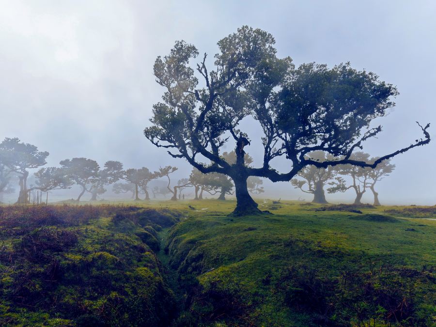 Horizons — 22