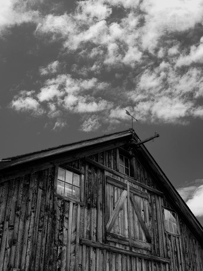 Monochrome — 05